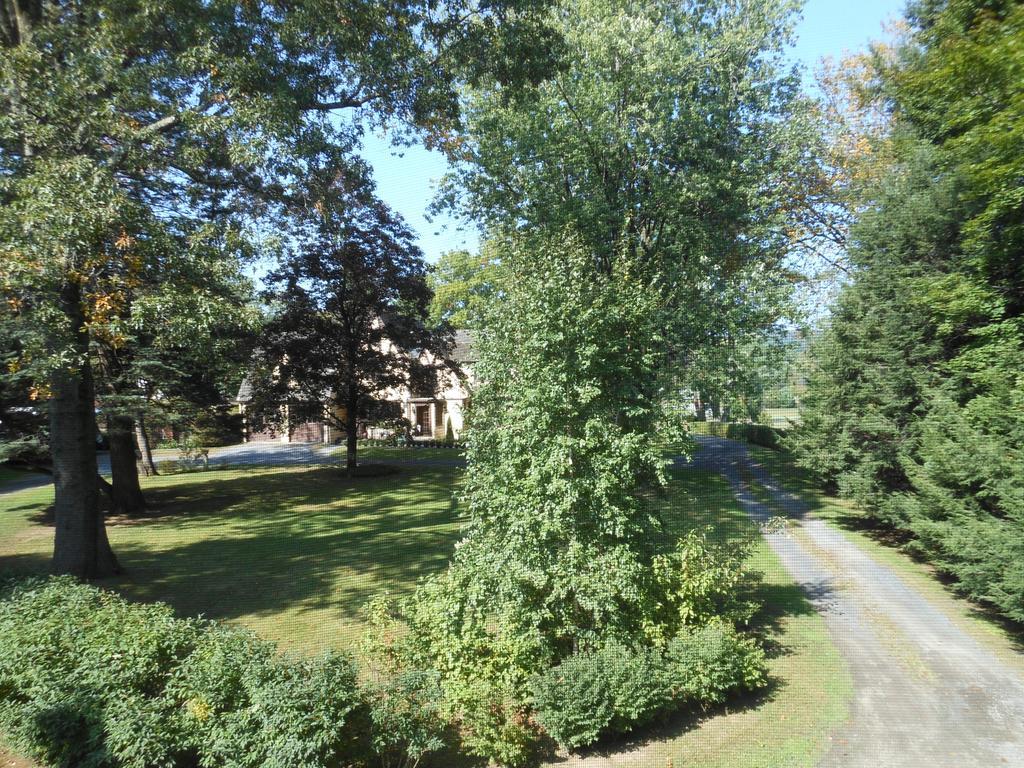 The Carriage House Loft Appartement Kingston Buitenkant foto